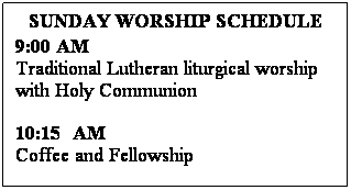 Text Box: SUNDAY WORSHIP SCHEDULE
9:00 AM
Traditional Lutheran liturgical worship 
with Holy Communion
6:30 PM
More contemporary&nbsp; �informal� worship with Holy Communion 
&nbsp;
